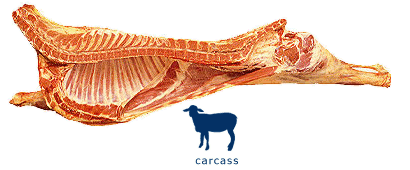 Carcas